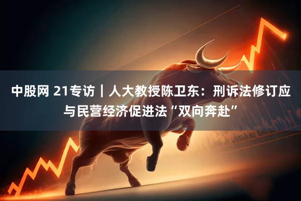 中股网 21专访｜人大教授陈卫东：刑诉法修订应与民营经济促进法“双向奔赴”