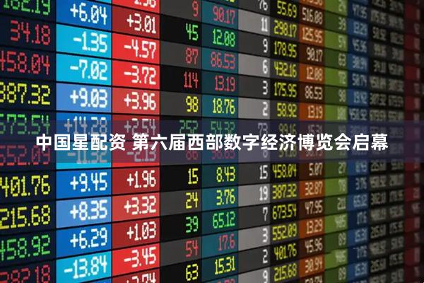 中国星配资 第六届西部数字经济博览会启幕