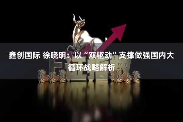 鑫创国际 徐晓明：以“双驱动”支撑做强国内大循环战略解析